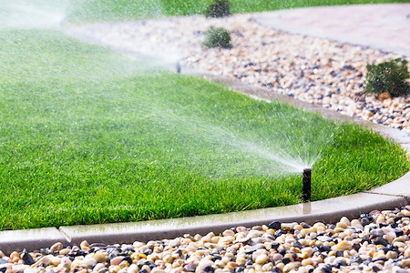 How Often Should You Water Your Lawn in Georgia Summers?