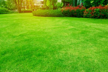 Spring Lawn Care Checklist for Georgia Homeowners